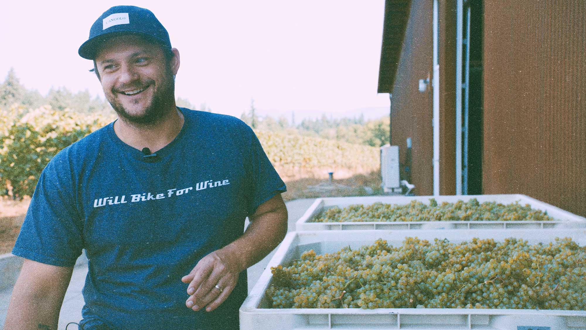 Chase Renton, Partner of Chosen Family Wines with a container of harvested grapes