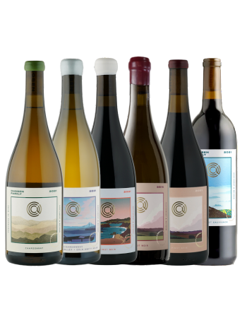 6 bottles of chosen wines on a white background